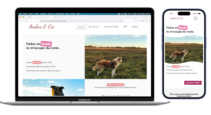 Capture d'écran du logiciel de gestion 
